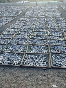 Farine de soja fermentée à haute teneur en protéines (50%-60%) à prix d'usine d'aliments pour animaux séchés directement du Vietnam pour bétail chien poisson cheval cochon - Product Image 4