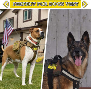 Parche de bucle de gancho divertido, parches bordados, parches bordados de tela de flores para mochila táctica, arneses para perros, advertencia que tengo - Product Image 5