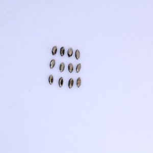 พลอยไพไรต์สีทองธรรมชาติทรงมาร์คีส์ขนาด 4x8 มม. |   หินโลหะขัดเงาคุณภาพสูงสำหรับทำเครื่องประดับ - Product Image 4