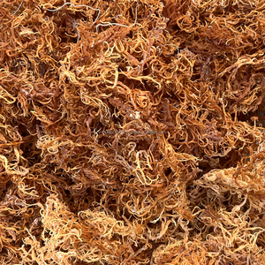 Algas Eucueuma Cottonii Secas de Vietnam para el Procesamiento de Carragenano |   Baja Impureza y Calidad Estable |   KMI - Product Image 3