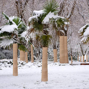 Enveloppes de protection pour arbres en jute naturelle 100 % écologiques, 5 pouces x 16 pieds, rouleaux de jute pour protéger les troncs des arbres de jardinage - Product Image 6