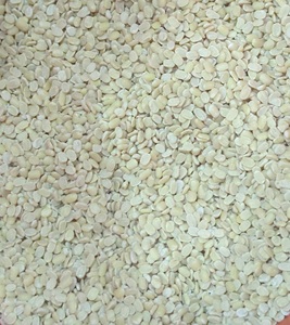 Urad Indio Blanco Orgánico Seco de la Mejor Calidad, Sin Piel, Alto en Proteínas, Fácil de Cocinar, Suministro a Granel de 30 kg, Nueva Cosecha a Buen Precio - Product Image 3