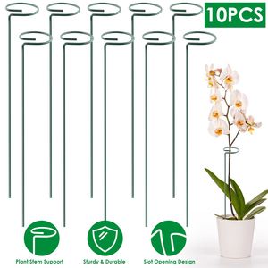 10 pièces de supports de plantes en fer à tige unique, anneaux de support pour cage de jardin pour plantes - Product Image 1