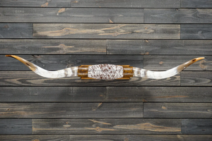 Toro cuernos pequeños pulido Steer OX Longhorn montado par para arte de pared decoración de pared occidental ágata hogar Hotel Oficina Decoración - Product Image 2