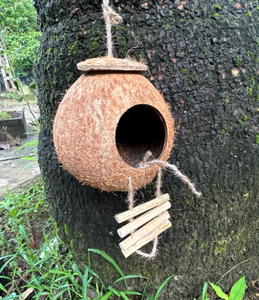 Casa para Pájaros de Coco Natural / Nido para Pájaros Hecho con Conchas de Coco en Green Future Vietnam / Sustrato de Fibra de Coco para Nido de Pájaros - Product Image 5