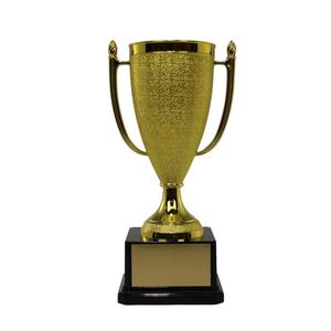 Trophée métallique le plus vendu pour la motivation des employés et les programmes de récompense, disponible à bon prix - Product Image 2