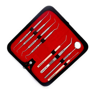 Kit d'hygiène dentaire pour usage domestique, ensemble de détartrage et de nettoyage de la plaque dentaire avec grattoir à tartre en acier inoxydable, cure-dents et détartreurs dentaires - Product Image 6