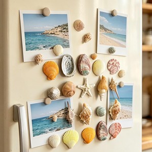 Juego de imanes para refrigerador hechos a mano con conchas marinas para decoración de cocina y nevera. - Product Image 3