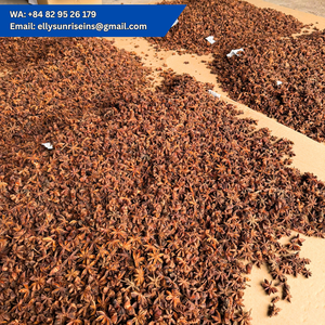 Anís Estrellado de Vietnam, Especias Enteras, Hierba Aromática Natural, 10 kg, MS ELLY (WA +84 829 526 179) - Product Image 5