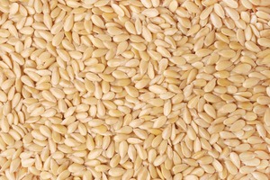 เมล็ดงาขาวและงาดำคุณภาพสูงสำหรับสูตรอาหารและเครื่องดื่ม - Product Image 2
