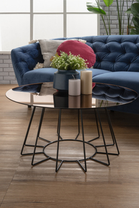 Round Contemporary Modern Design Tempered Glass Top Coffee <b>Table</b> with <b>Matt</b> Black Epoxy Legs for Living Room - Product Image 4