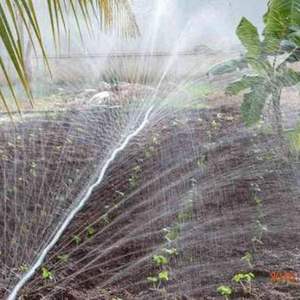 Manguera de Riego por Goteo de Plástico Negro Resistente con Gotero Plano Integrado para Riego Automático de Campos Agrícolas, Jardines e Invernaderos - Product Image 5