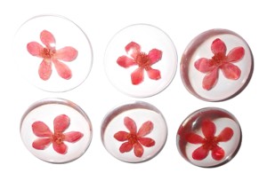 Viola Herb Flower - Espécimen de Planta Real en Cabujón de Plástico Redondo de 35x35 mm con Base Plana Transparente para Manualidades y Joyería - Product Image 5