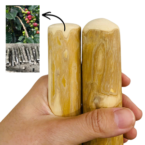 Venta al por Mayor de Palitos de Madera de Café Ecológicos, Duraderos y Sostenibles para Perros, Juguete Natural para Masticar, Exportación de Vietnam a EE. UU. y la UE - Product Image 2