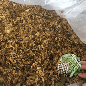 Peau d'ananas ensilée de qualité supérieure, conforme aux normes internationales, fournie par un fabricant vietnamien, emballée en sacs de 20 kg - Product Image 1