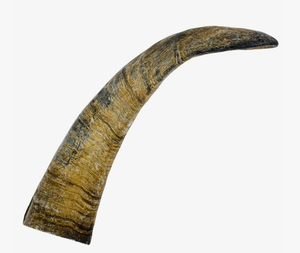 Cuerno de Cabra Natural, Tamaño Indio, Ecológico, Hecho a Mano, Tamaño Personalizado, Juguete Masticable para Perros, Color Natural del Cuerno - Product Image 4
