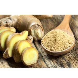 Poudre d'extrait de gingembre instantané, teneur naturelle en gingérol - Product Image 4