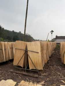 100% Natural Vietnam Acacia Core <b>Veneer</b> Rotary Cut Eco-Friendly & Durable for Plywood Manufacturing - Product Image 3