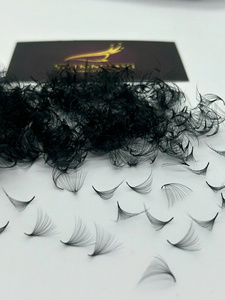 <b>Premade</b> <b>Lash</b> Extensions Promade 0.05-0.10mm C/CC/D Curl 3D-14D Volume Wispy <b>Lash</b> Clusters In A Big Box Loose Base Wholesale - Product Image 1