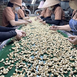 Wholesale High Quality Cashew <b>Nut</b> <b>Kernels</b> Ww320 Vacuum Packed Cashew <b>Nuts</b> Vietnam Cashew <b>Nuts</b> Wholesale Exported To Asia, Middle - Product Image 4