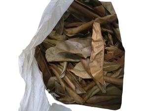 Té de hojas de Graviola de Vietnam, hojas de Guanábana naturales secadas al sol, té de hierbas empaquetado a granel para OEM y exportación - Product Image 3