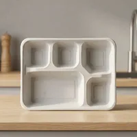 Barquette alimentaire jetable en pulpe moulée rectangulaire, la plus vendue, résistante à l'eau, légère, biodégradable, écologique, moderne et luxueuse