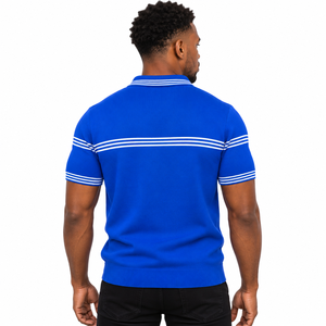 Polo de punto azul real para hombre Phi Beta Sigma, manga corta, cuello a rayas con cremallera de un cuarto, letras griegas, fraternidad, casual, universitario - Product Image 2