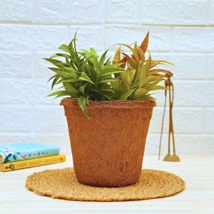 Coir pot <b>basket</b> <b>for</b> hydroponic <b>plants</b> wholesale cheap price coconut fiber seed starting pots - Product Image 4