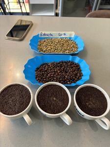 Café Vietnamita Tostado en Grano de Alta Calidad OEM ODM DALAKON Dak Lak 250g/Bolsa a Granel 100% Cafeinado Premium Robusta Oscuro - Product Image 5