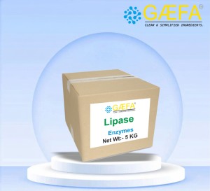 ผงเอนไซม์ไลพาสกิจกรรมสูง เกรดอาหาร สำหรับการแปรรูปอาหาร ผลิตในอินเดีย - Product Image 2