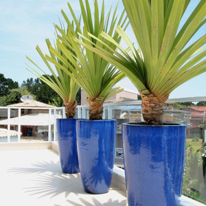 Pot de jardin extérieur du Vietnam pot de fleurs léger en céramique de terre cuite avec le style d'utilisation de plancher de matériel d'argile de fibre - Product Image 5