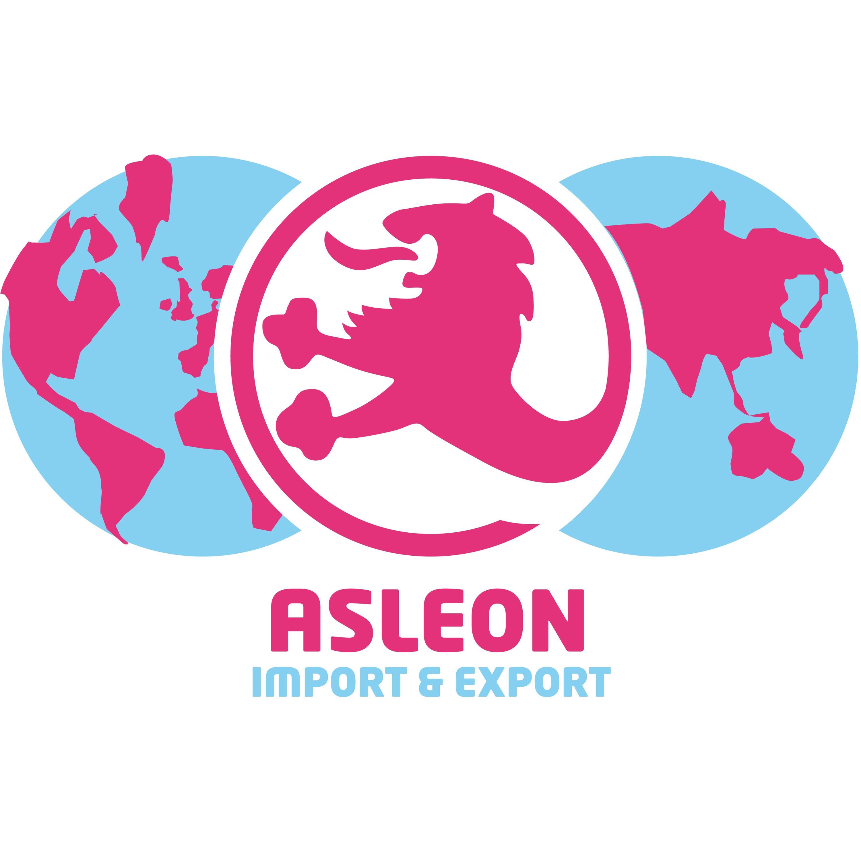 Asleon s.l logo