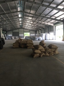 เมล็ดกาแฟคั่วอาราบิก้าเวียดนามรสชาติเป็นกลางกาแฟดิบราคาไม่แพง - Product Image 5