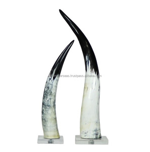 Cuernos de Vaca Pulidos de Primera Calidad, Decoración Artesanal de Estilo Rústico Occidental - Product Image 3
