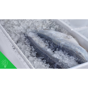 Tilapia rouge congelé biologique de qualité supérieure, grade A, origine USA, pour le marché du commerce international - Product Image 5