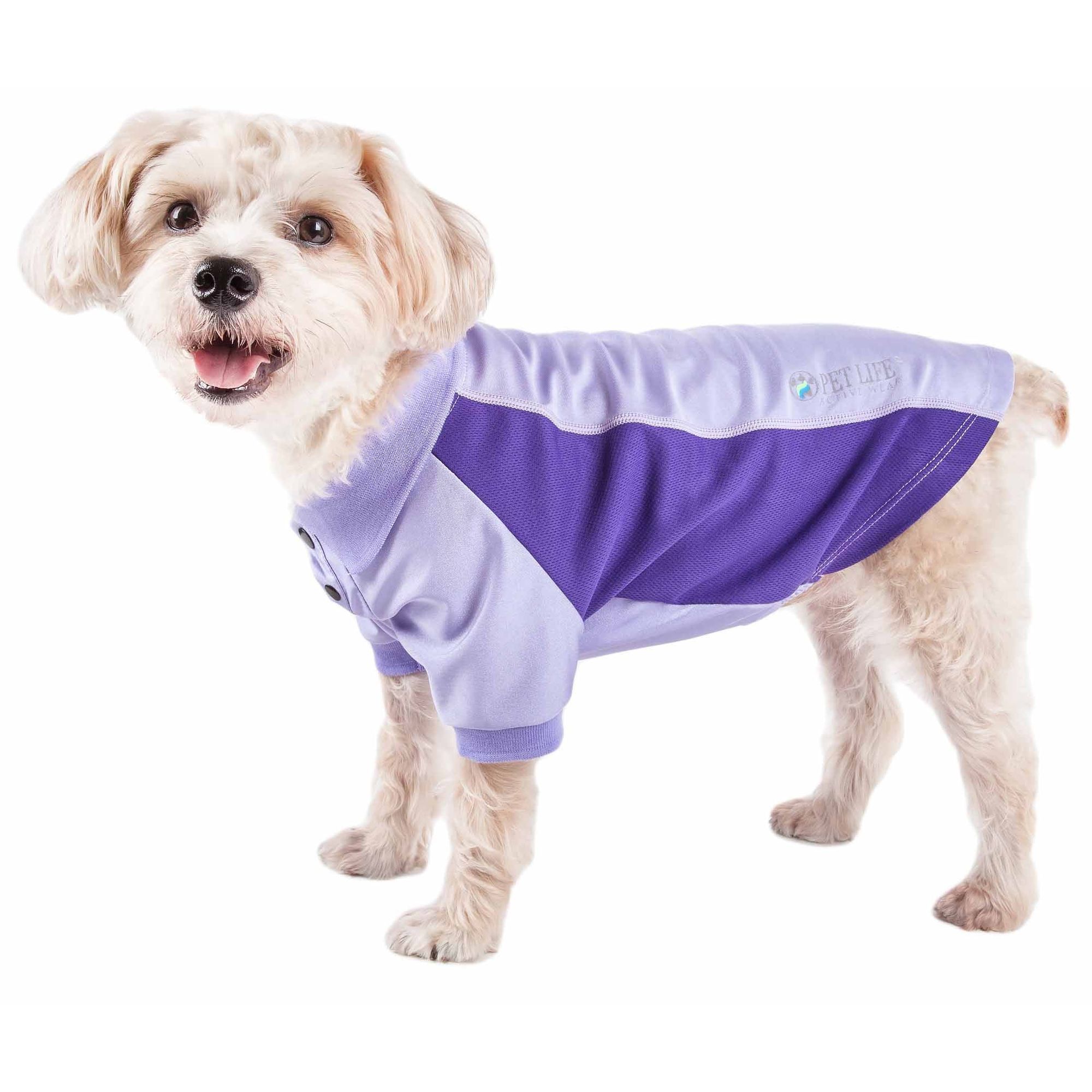 Purple Color