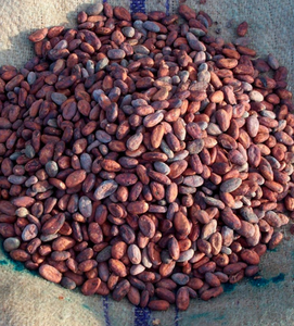 Approvisionnement direct d'usine, fèves de cacao OEM de haute qualité - Product Image 3