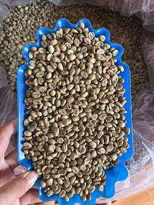 เมล็ดกาแฟพิเศษของเวียดนาม |   กาแฟอาราบิก้า 100% คั่วอ่อนและคั่วกลาง |   ขายส่งกาแฟซิงเกิลออริจิน - Product Image 5