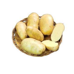 Pommes de terre fraîches disponibles avec livraison rapide pour les achats en grande quantité - Product Image 3