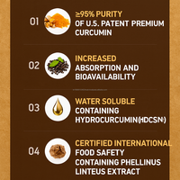 Curcumine C3 Complex BioPerine soluble dans l'eau, antioxydant, soutien immunitaire, booster d'absorption, capsules pour adultes, végétalien, naturel