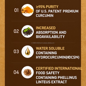 Capsules de curcumine C3 complexe et de biopérine hydrosolubles OEM, booster d'absorption antioxydante pour adultes - Vegan, naturel, 30 unités - Product Image 3