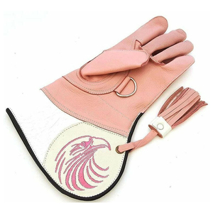 Premium Product 3 Layer <b>Padded</b> Falconry Gloves Genuine Leather Training Gauntlets Anti <b>Scratch</b> Pet Grooming Gloves - Product Image 1