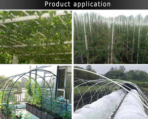 Wholesale Green Fiberglass Plant <b>Support</b> Stakes for <b>Tomatoes</b> Cucumbers Vine Crops - Product Image 6