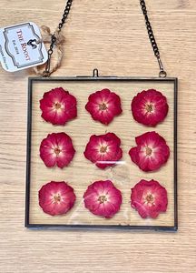 Elegant <b>Wall</b> Mounted Glass Photo Frame With Metal Border Modern Hanging <b>Display</b> <b>Case</b> For Dried Plants And Botanical Art Decor - Product Image 6
