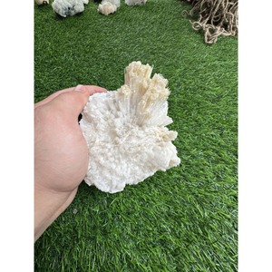 Cristal de Scolecita Natural Blanco y Amarillo, Espécimen Mineral para Decoración del Hogar, Regalo y Uso al por Mayor - Product Image 4