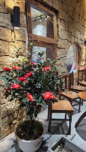 Pierre de pavage en granit jaune de haute qualité, naturelle et brisée, pour revêtement mural extérieur, façade, parc - Product Image 4