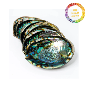 Bulk Supply Polished Green <b>Abalone</b> <b>Shell</b> For Resin Art Mosaic And Home Decor - Product Image 1
