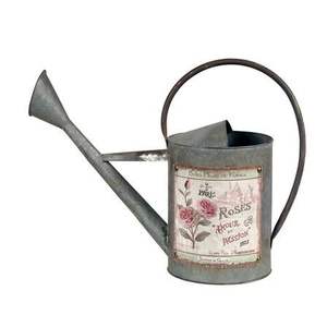 Regadera de metal de diseño moderno con acabado brillante impreso en esmalte que mejora la experiencia de jardinería manteniendo la hidratación de las plantas. - Product Image 2