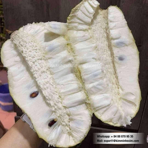 Goyavier frais du Vietnam, qualité supérieure, directement de la ferme, approvisionnement en vrac pour l'exportation à des prix de gros compétitifs - Product Image 3