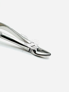 Forceps d'extraction dentaire Fig. 7 - Product Image 2